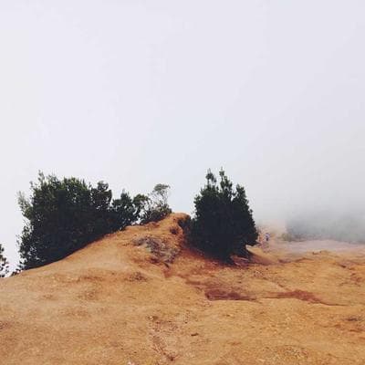 Phone Stand Desk Mount Adjustable Aluminum