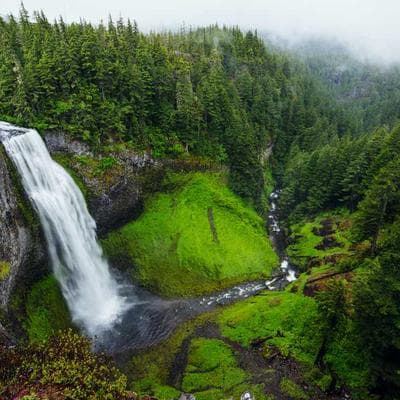 Professional Chef Knife Set 5pc Stainless Steel