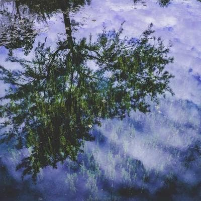 Magnetic Phone Wallet Card Holder Slim Leather